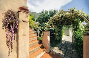 thumbnail: Terrace/patio