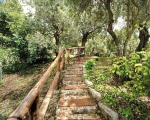 thumbnail: Terrace/patio