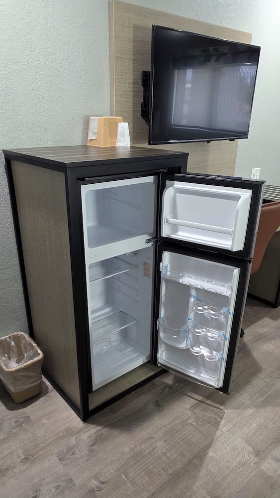 Mini-refrigerator