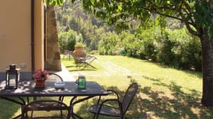 thumbnail: Garden view