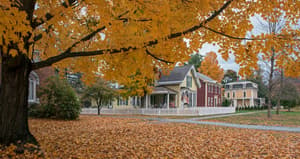 thumbnail: Property grounds