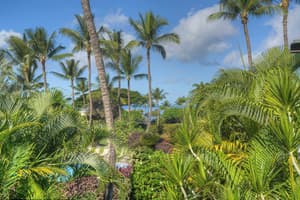 thumbnail: Property amenity