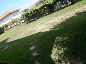 thumbnail: General view