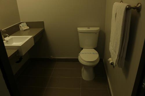 50608008.jpg