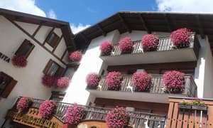 thumbnail: General view