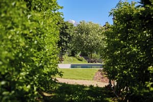 thumbnail: Garden
