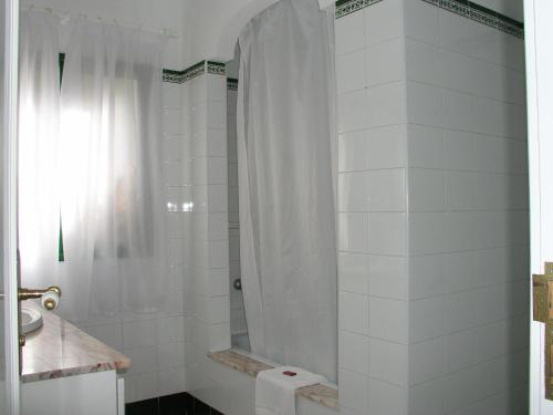 8751272.jpg