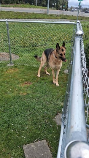 thumbnail: Pet-friendly amenities