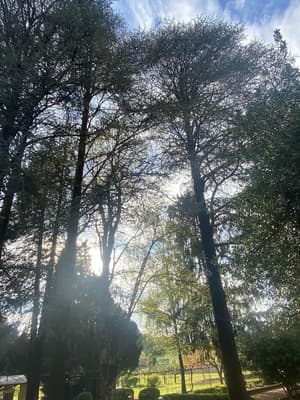 thumbnail: Garden