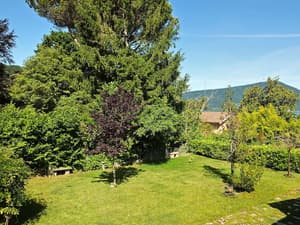 thumbnail: Garden