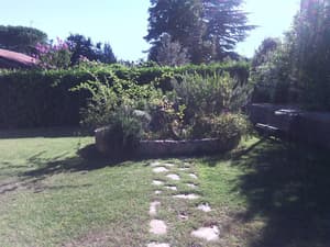 thumbnail: Garden