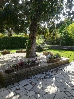thumbnail: Garden
