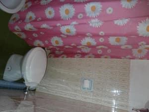 thumbnail: 9328218.jpg