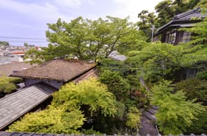 thumbnail: Garden view