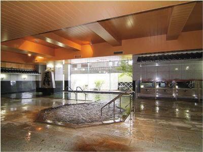 Swimming pool-spa