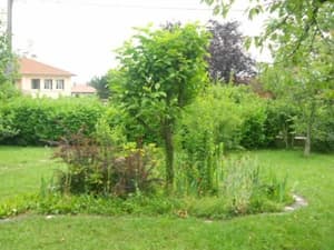 thumbnail: Property grounds