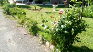 thumbnail: Property grounds