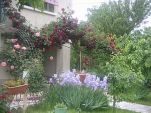 thumbnail: Garden