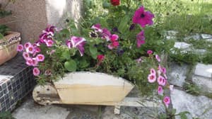 thumbnail: Garden