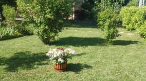 thumbnail: Garden
