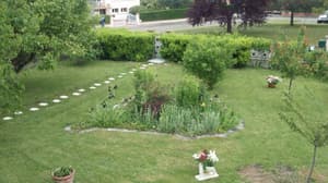 thumbnail: Garden