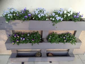 thumbnail: Garden