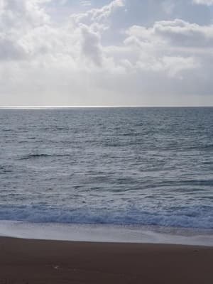 thumbnail: 570516201.jpg
