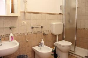 thumbnail: 570496572.jpg