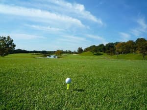 thumbnail: Golf