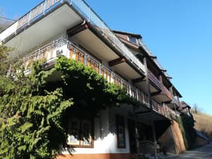 thumbnail: General view
