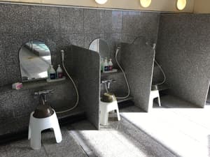 thumbnail: Indoor spa tub