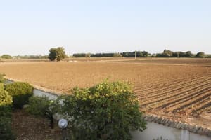 thumbnail: Property grounds