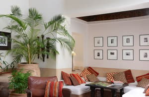 thumbnail: Living area