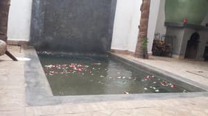 thumbnail: General view
