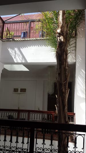thumbnail: General view