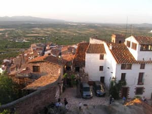 thumbnail: General view