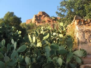 thumbnail: General view