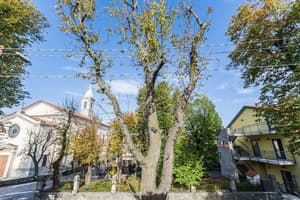 thumbnail: Property grounds