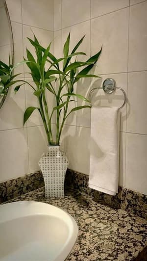 thumbnail: Bathroom sink