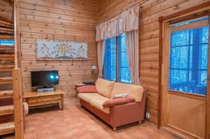 thumbnail: Living area
