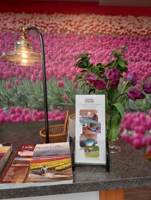 thumbnail: Garden view