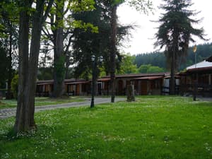 thumbnail: Garden