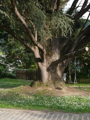 thumbnail: Children's play area - outdoor