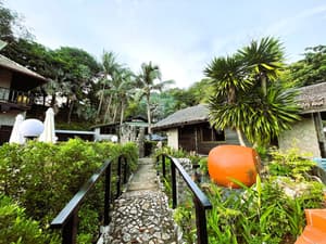 thumbnail: Garden view