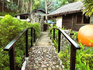 thumbnail: Garden