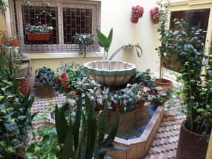 thumbnail: General view