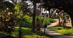 thumbnail: Property grounds