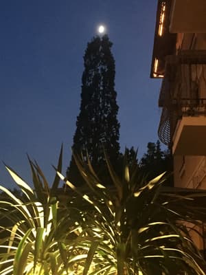 thumbnail: View from property