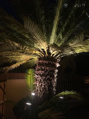 thumbnail: View from property