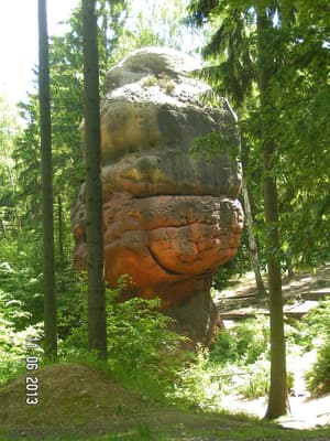 thumbnail: Hiking
